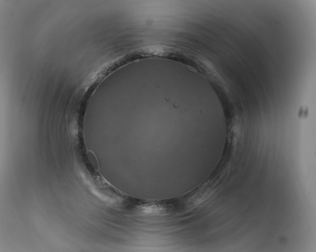 X0000112020500200908031401