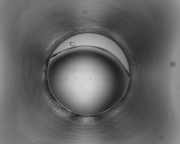 X0000112020501200908031401