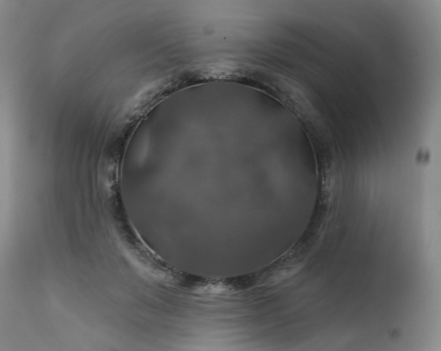 X0000112020503200908031401