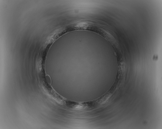 X0000112020504200908031401