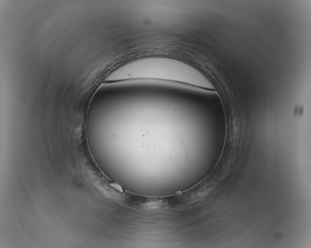 X0000112020505200908031401