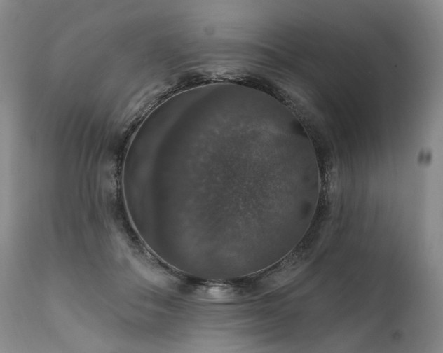 X0000112020506200908031401