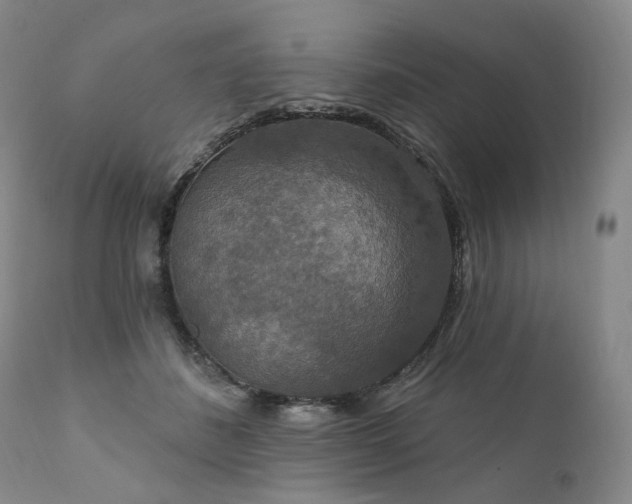 X0000112020508200908031400