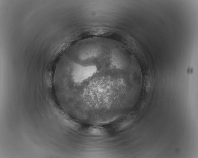 X0000112020510200908031400