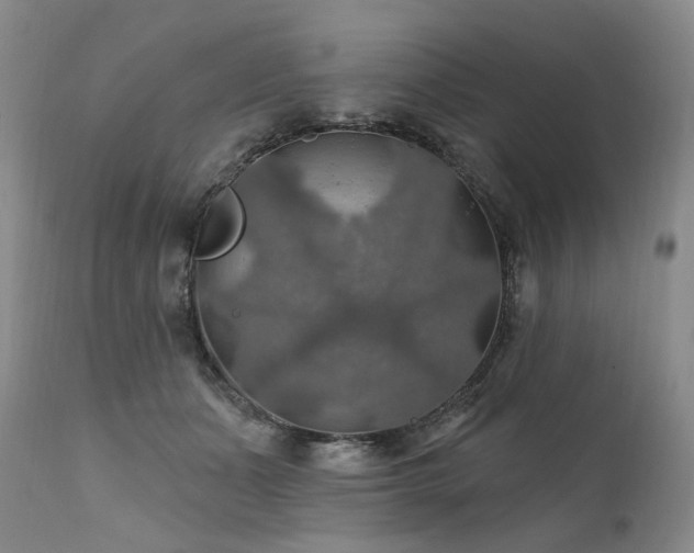 X0000112020511200908031400