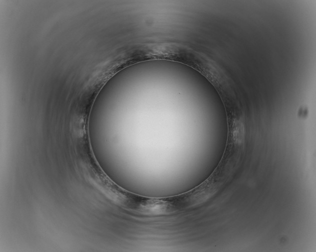 X0000112020514200908031400