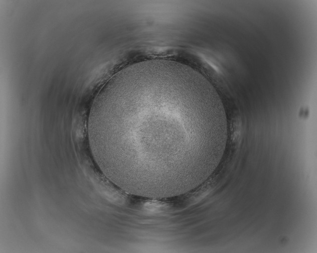 X0000112020515200908031400