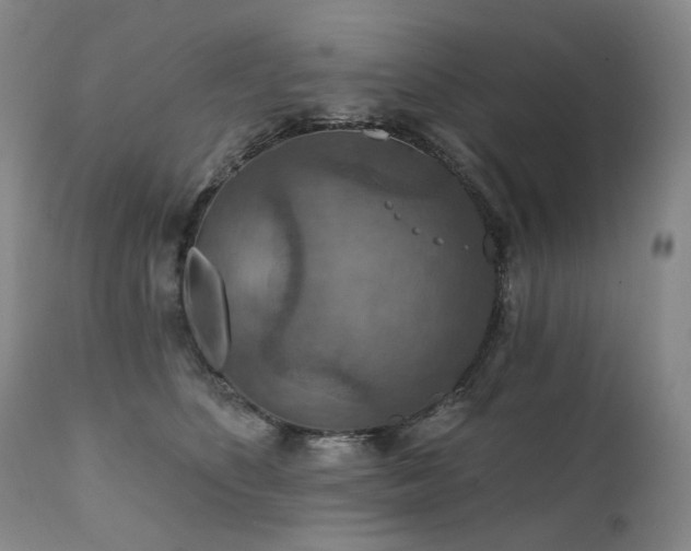 X0000112020516200908031400