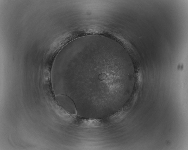 X0000112020517200908031400