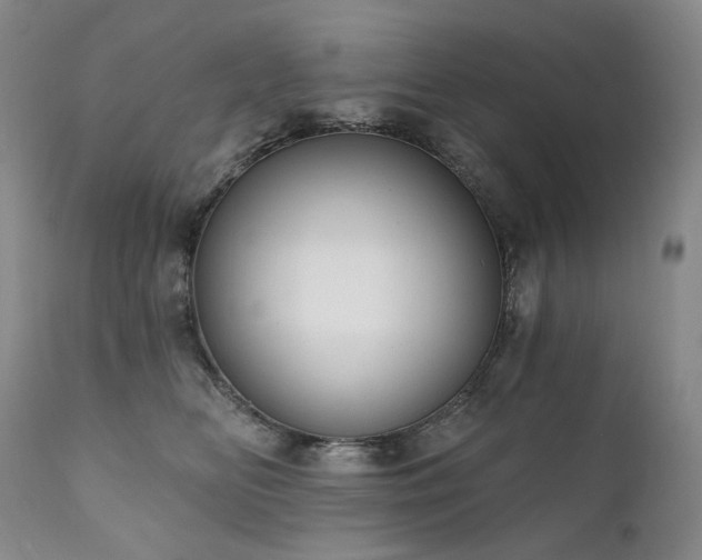 X0000112020518200908031400