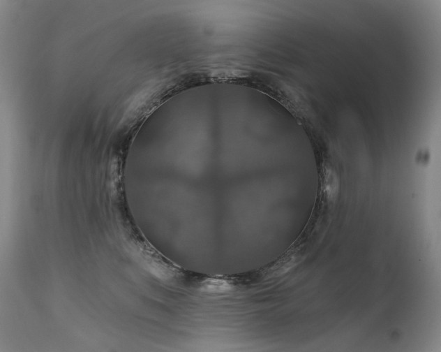 X0000112020519200908031400