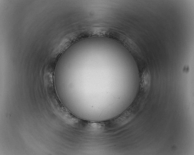 X0000112020522200908031400