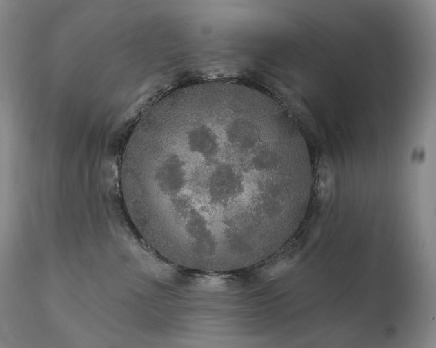 X0000112020523200908031400