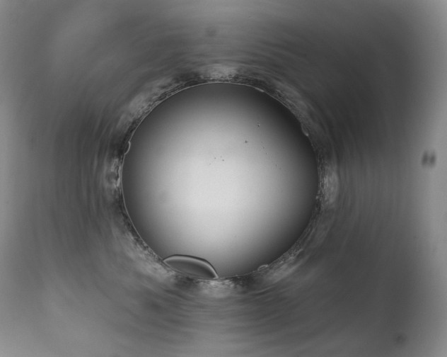 X0000112020525200908031400