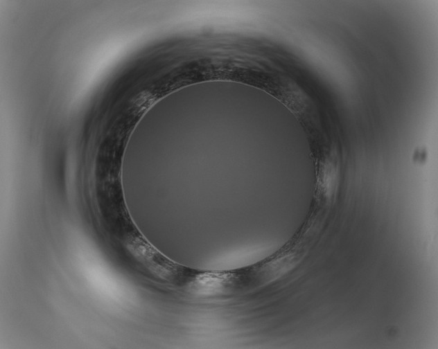 X0000112020526200908031400