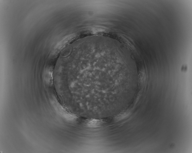 X0000112020527200908031400