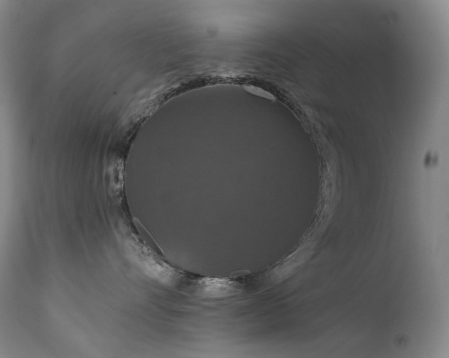 X0000112020528200908031400