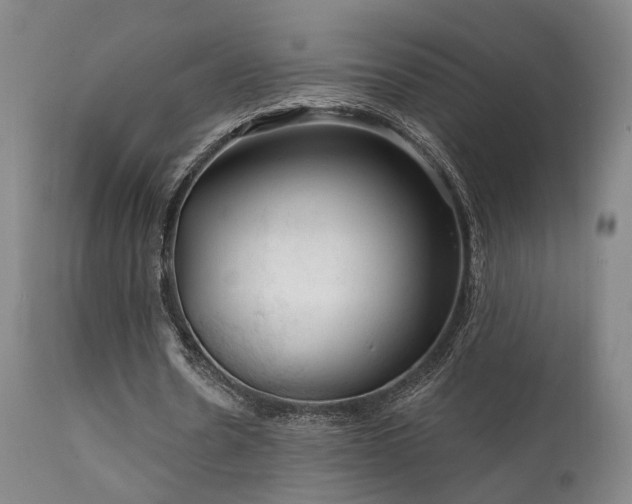 X0000112020530200908031359