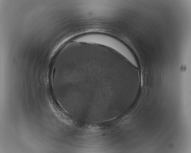 X0000112020531200908031359