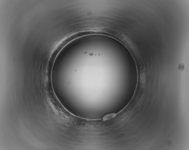 X0000112020532200908031400