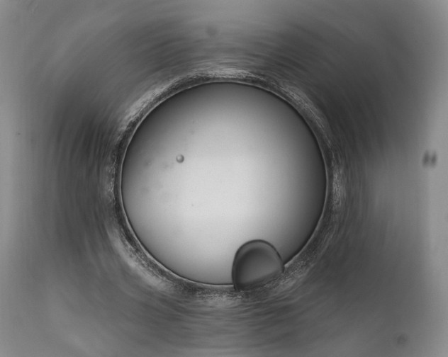 X0000112020533200908031400