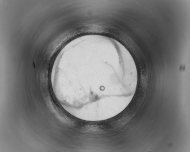 X0000112020534200908031400