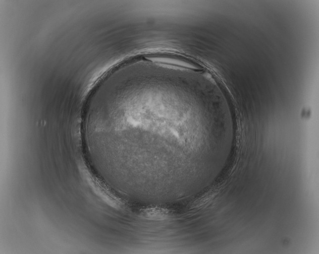 X0000112020535200908031400