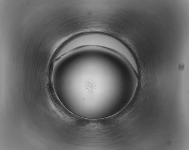 X0000112020536200908031400