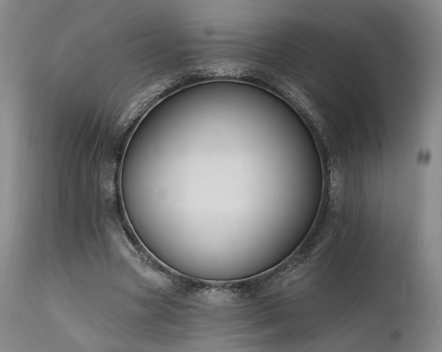 X0000112020537200908031400