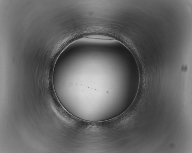 X0000112020538200908031400