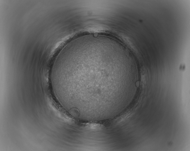 X0000112020539200908031400