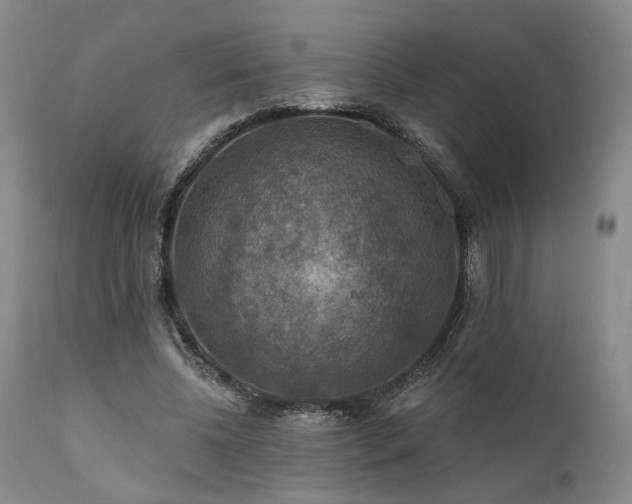 X0000112020540200908031400