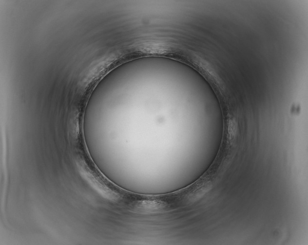 X0000112020541200908031400