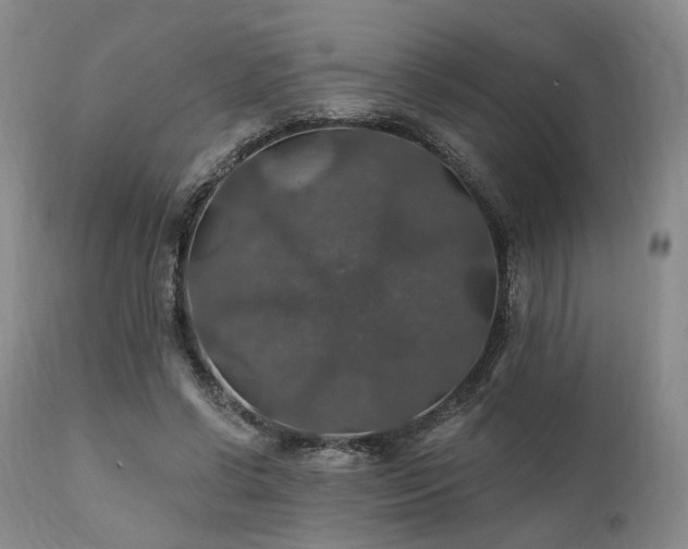 X0000112020542200908031400