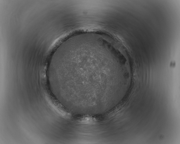 X0000112020543200908031400