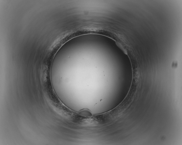 X0000112020544200908031400