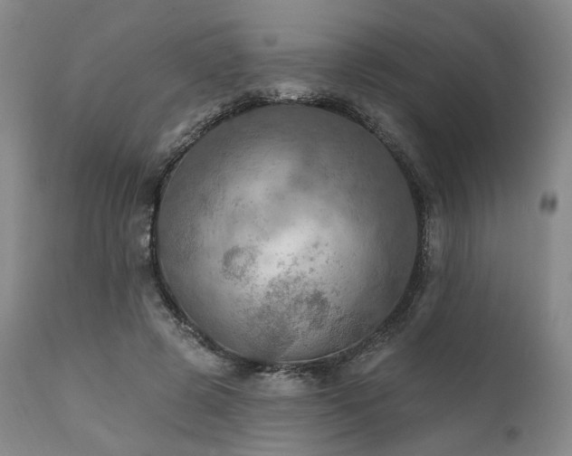 X0000112020545200908031400