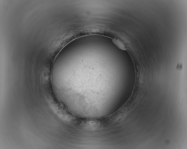 X0000112020546200908031400