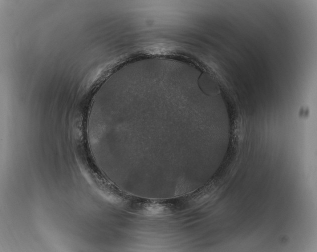 X0000112020547200908031400