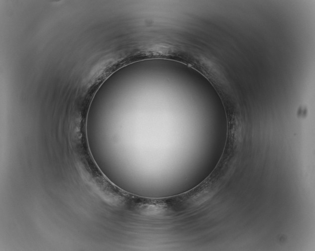 X0000112020548200908031400