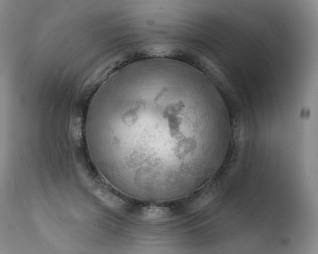 X0000112020549200908031400