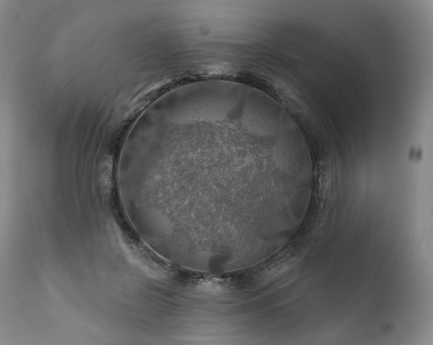 X0000112020550200908031400