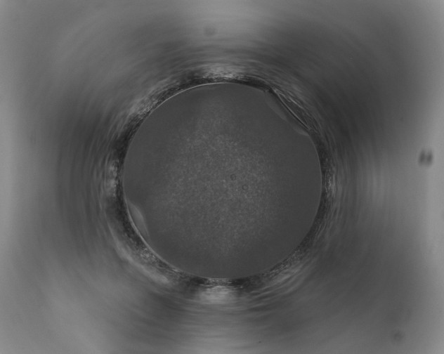 X0000112020551200908031400