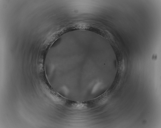 X0000112020553200908031400