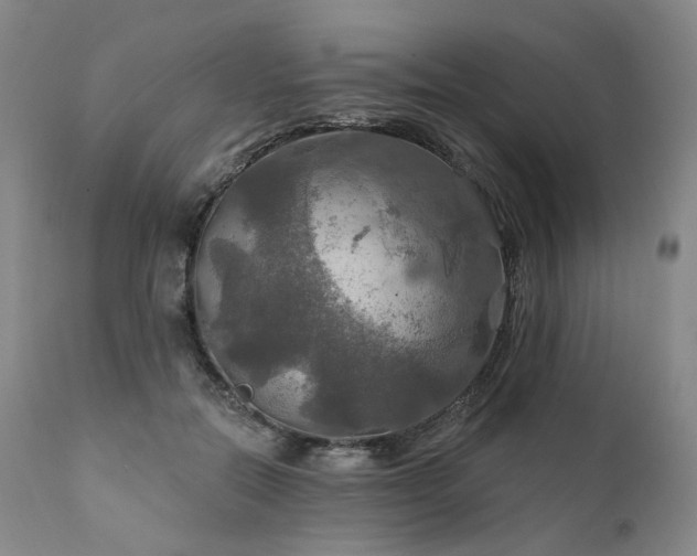 X0000112020554200908031400