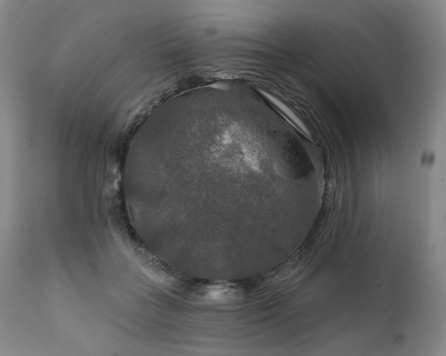 X0000112020555200908031400