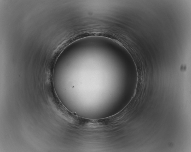 X0000112020556200908031400