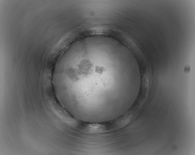 X0000112020557200908031400