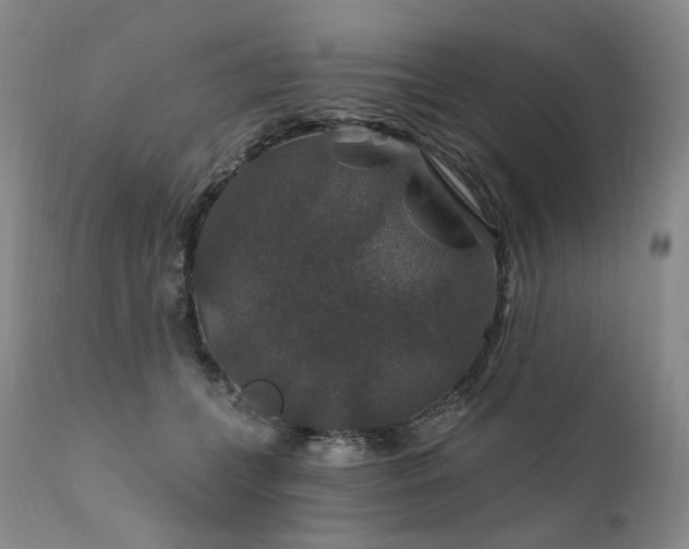 X0000112020559200908031400