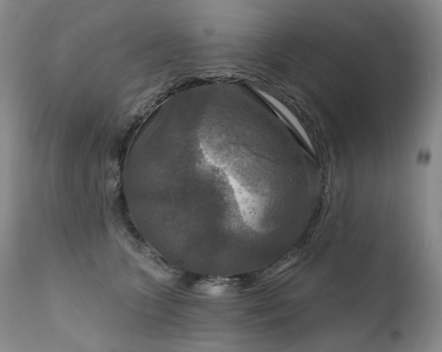 X0000112020563200908031400